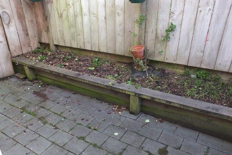 Photo of property in 18/20 Thompson Street, Mount Cook, Wellington, 6011