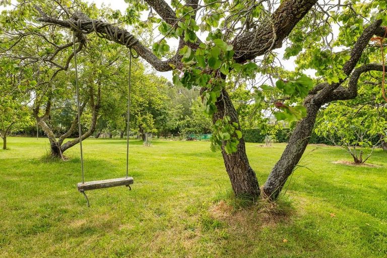 Photo of property in 285 Waihaorunga Road, Waihaorunga, Waimate, 7977