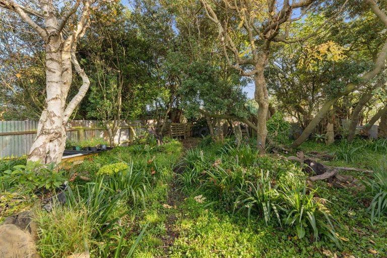 Photo of property in 16 Punga Street, Tangimoana, 4822