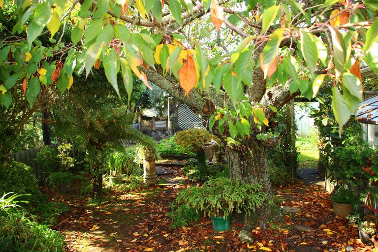 Photo of property in 55 Branch Road, Highlands Park, New Plymouth, 4312