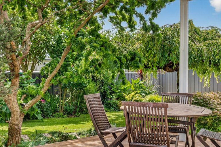 Photo of property in 419 Brunswick Street, Saint Leonards, Hastings, 4120