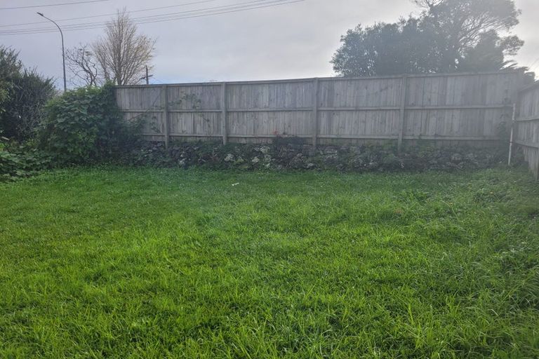 Photo of property in 401 Mount Albert Road, Mount Roskill, Auckland, 1041