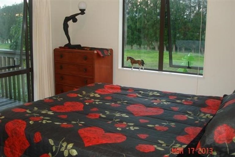 Photo of property in 397 Plummers Point Road, Whakamarama, Tauranga, 3172