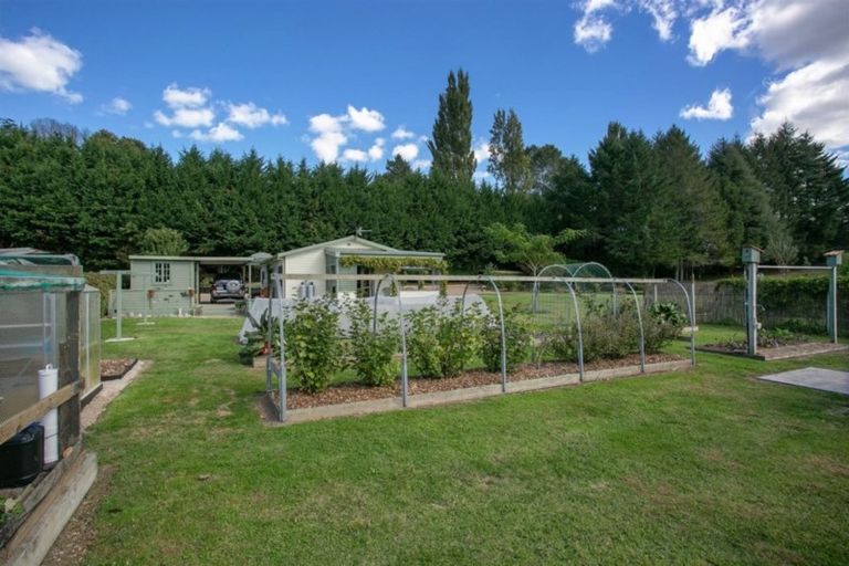 Photo of property in 113/117 Main Road, Tirau, 3410