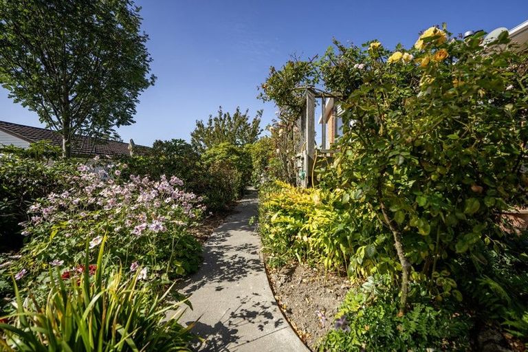 Photo of property in 45a Morgans Road, Glenwood, Timaru, 7910