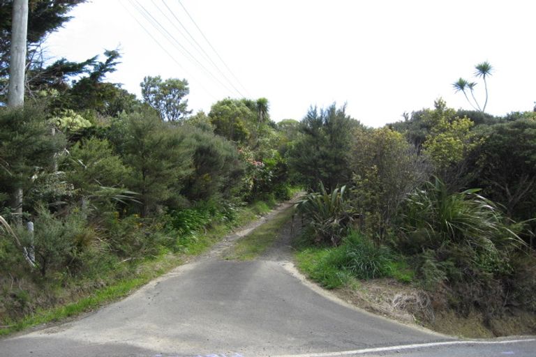 Photo of property in 145 Piha Road, Piha, New Lynn, 0772