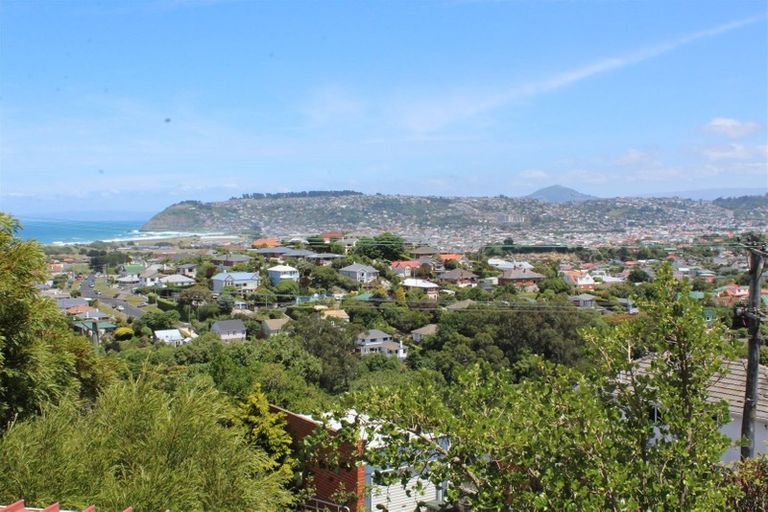 Photo of property in 41 Tomahawk Road, Andersons Bay, Dunedin, 9013