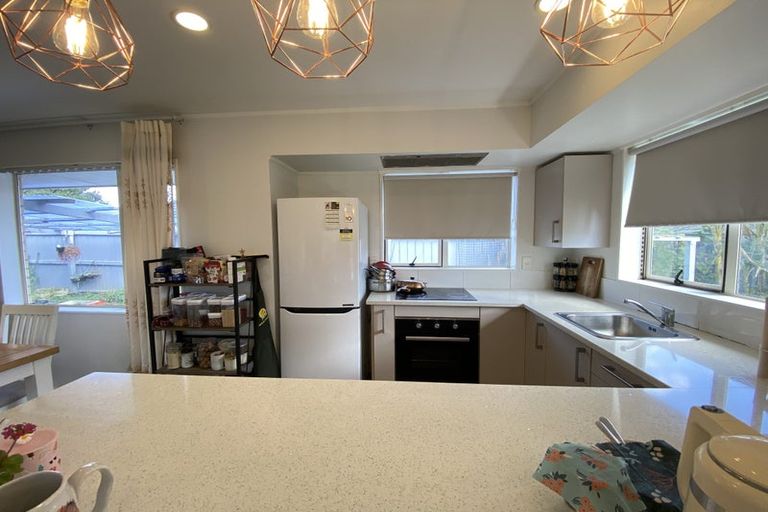 Photo of property in 15 Robin Brooke Drive, Flat Bush, Auckland, 2019
