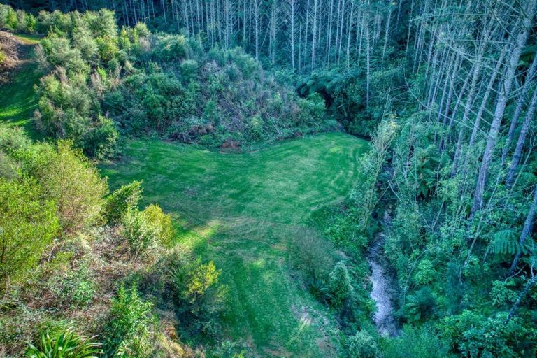 Photo of property in 299c Whakamarama Road, Whakamarama, 3179