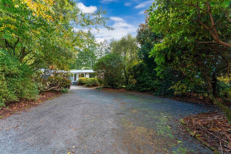 Photo of property in 175 Forest Road, Oruanui, Taupo, 3384