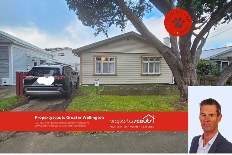 Photo of property in 54 Park Road, Miramar, Wellington, 6022