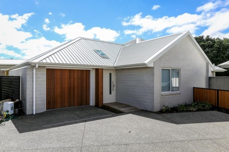 Photo of property in 3a Normanby Street, Fitzroy, New Plymouth, 4312
