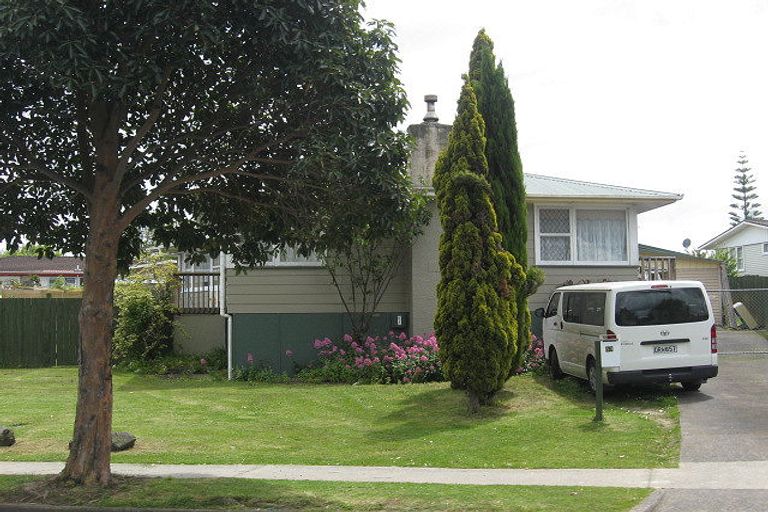 Photo of property in 53 Burbank Avenue, Manurewa, Auckland, 2102
