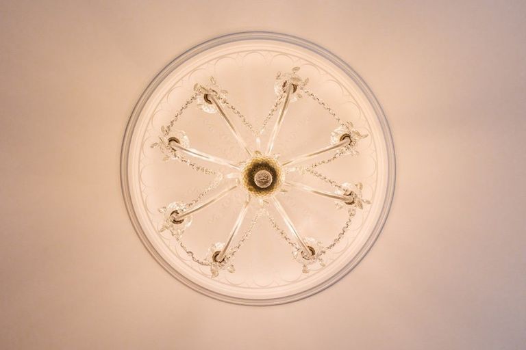 Photo of property in 16 Byrd Street, Levin, 5510