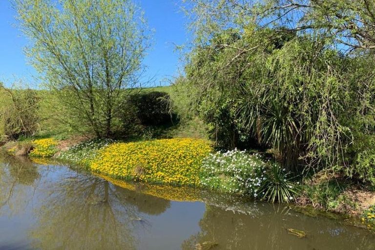 Photo of property in 1124 Awhitu Road, Pollok, Waiuku, 2683