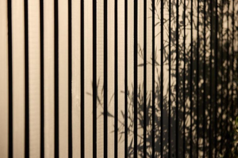 Photo of property in 44 Te Ngaio Road, Mount Maunganui, 3116