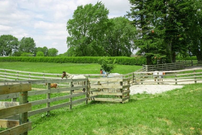 Photo of property in 58 Norrish Road, Ohaupo, 3881