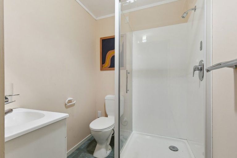 Photo of property in 123 Coromandel Street, Newtown, Wellington, 6021