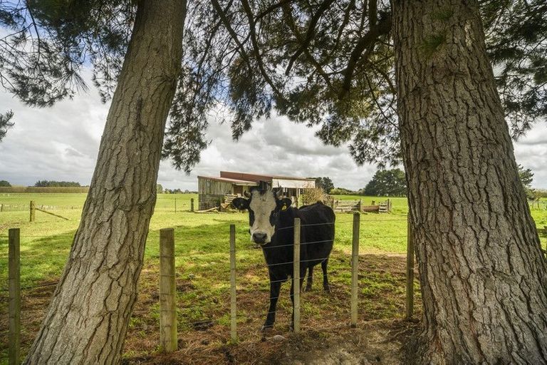 Photo of property in 803 Roberts Line, Bunnythorpe, Palmerston North, 4478