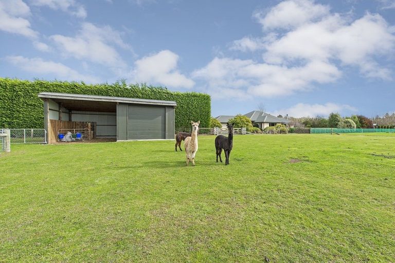 Photo of property in 1630 Clintons Road, Darfield, 7571