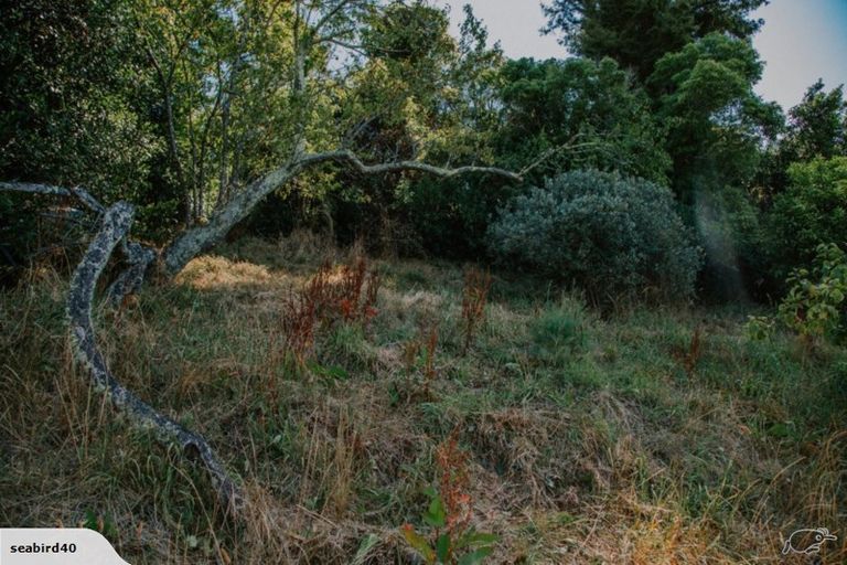 Photo of property in 73a Mount Street, Nelson South, Nelson, 7010