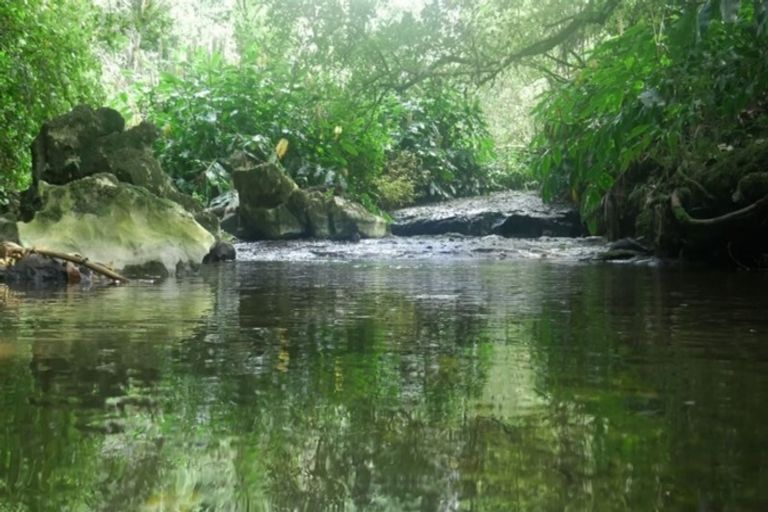 Photo of property in 22 Kereru Street, Maunu, Whangarei, 0110