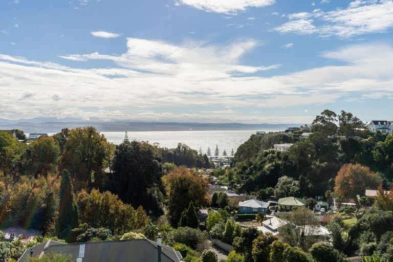 Photo of property in 11 Finnis Lane, Hospital Hill, Napier, 4110
