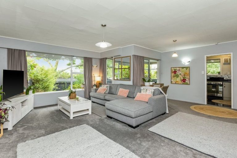 Photo of property in 1a Everest Avenue, Havelock North, 4130