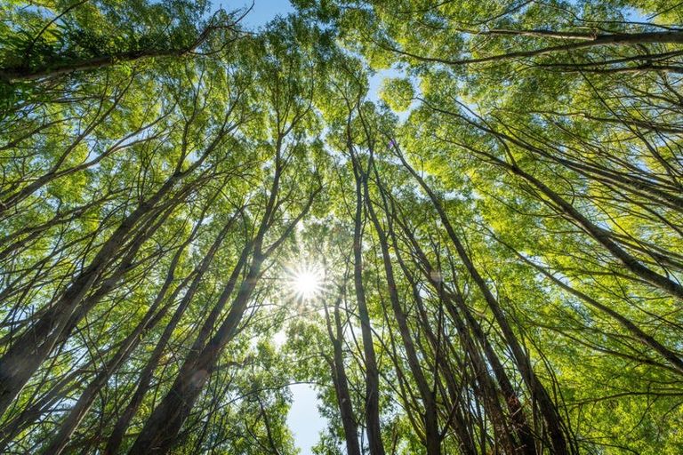 Photo of property in 50 Cliff Road, Tasman, Upper Moutere, 7173