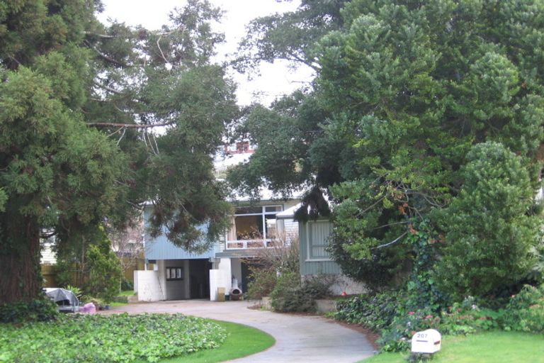 Photo of property in 207 Darraghs Road, Brookfield, Tauranga, 3110