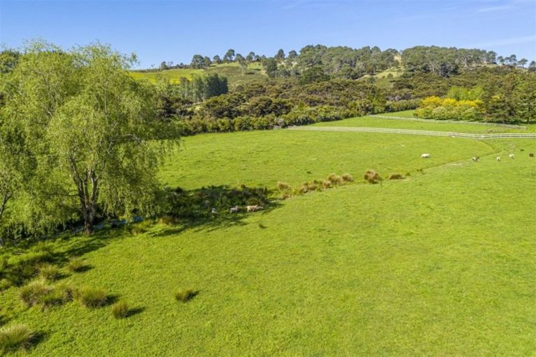 Photo of property in 45 Goldflats Lane, Coatesville, 0793