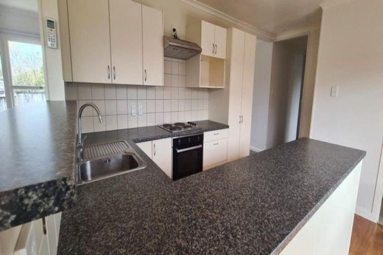 Photo of property in 21 Donny Avenue, Chartwell, Hamilton, 3210