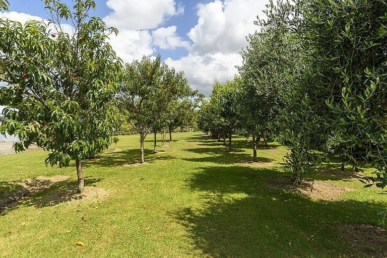 Photo of property in 172 Crawford Road, Minden, Tauranga, 3171
