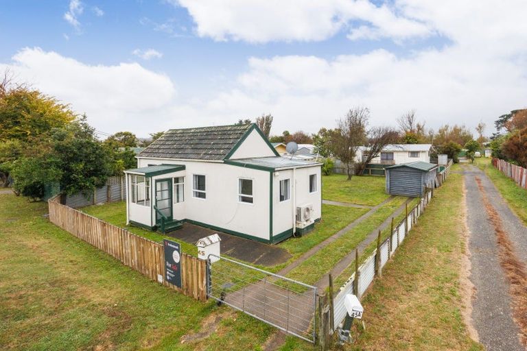 Photo of property in 45 Avenue Road, Foxton, 4814