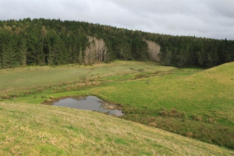 Photo of property in 388 South Road, Waipu, 0582