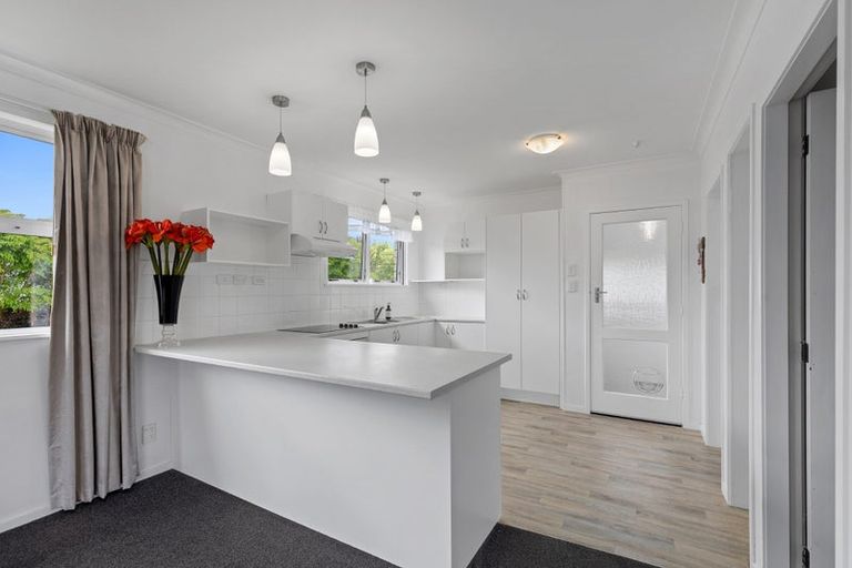 Photo of property in 24 Ridge Street, Otumoetai, Tauranga, 3110