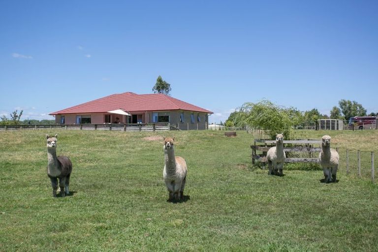 Photo of property in 24 Kelm Road, Ngaruawahia, 3791