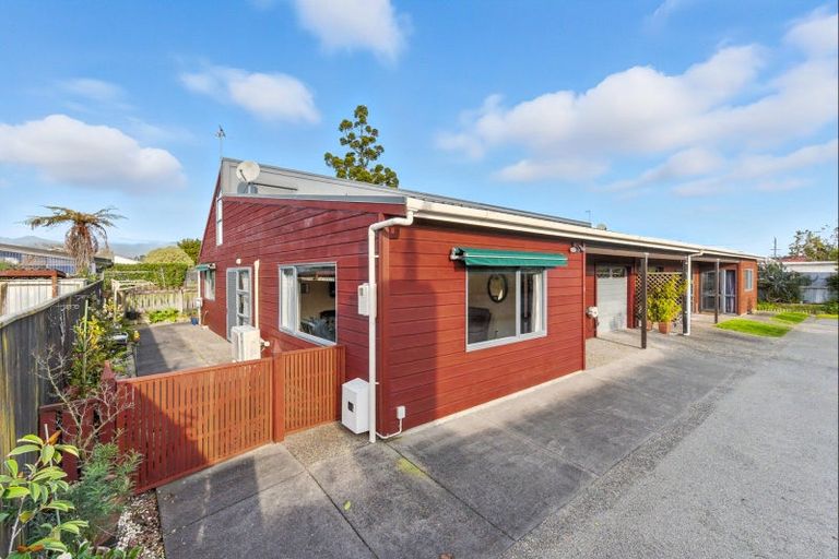 Photo of property in 41a Keepa Street, Levin, 5510