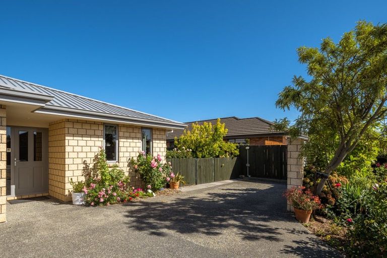 Photo of property in 42 Tremorne Avenue, Blenheim, 7201