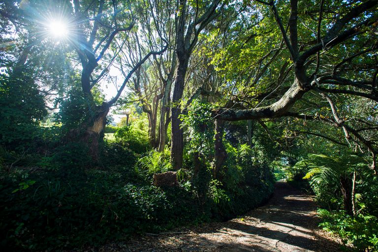 Photo of property in 9 Hillary Heights, Whataupoko, Gisborne, 4010