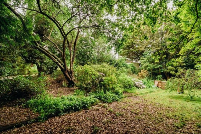 Photo of property in 21 Dunback Street, Waynes, Palmerston, 9483