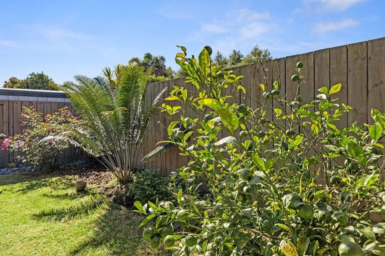 Photo of property in 27 Spinifex Street, Papamoa Beach, Papamoa, 3118
