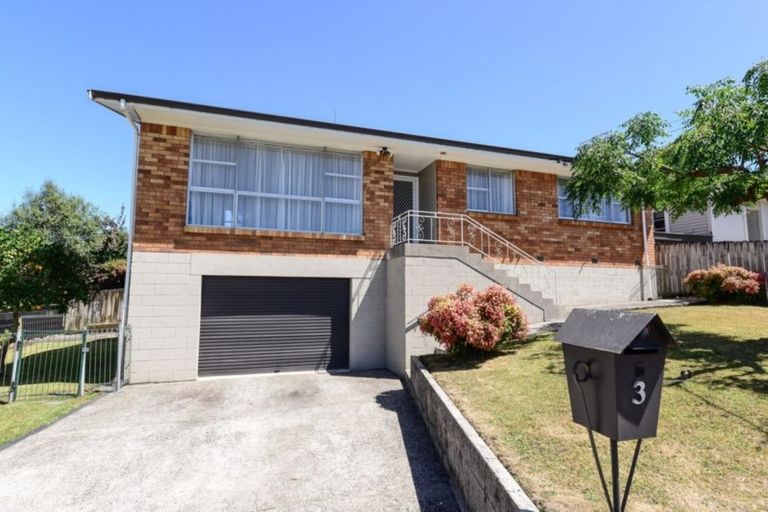 Photo of property in 3 Rose Street, Maeroa, Hamilton, 3200