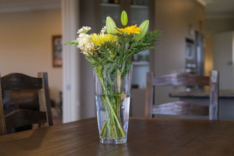 Photo of property in 9 Brooklyn Street, Green Island, Dunedin, 9018