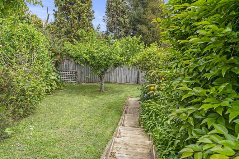 Photo of property in 117 Haukore Street, Hairini, Tauranga, 3112