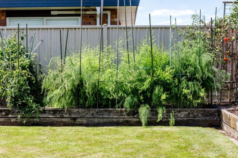 Photo of property in 16 Werahika Place, Whakatane, 3120