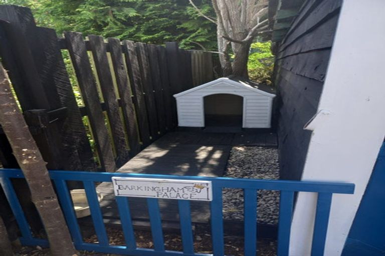 Photo of property in 56 Elderlee Street, Milton, 9220