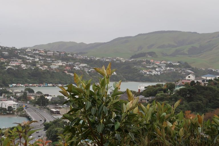Photo of property in 45 Eskdale Road, Papakowhai, Porirua, 5024