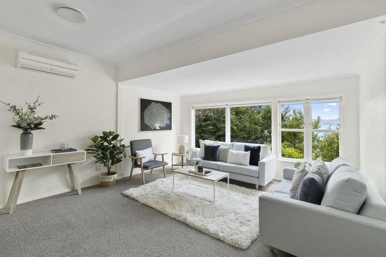 Photo of property in 49 Rona Street, Eastbourne, Lower Hutt, 5013