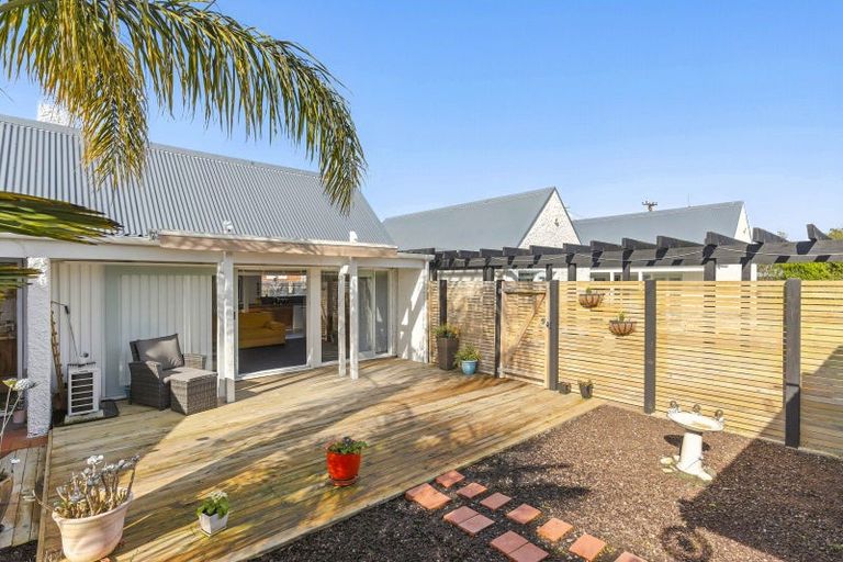 Photo of property in 58 Read Street, Levin, 5510